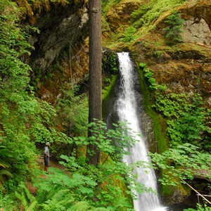 Camp Creek Falls Hike