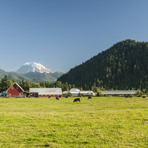 Mount Peak (Pinnacle Peak)