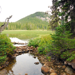 Breitenbush Lake Campground