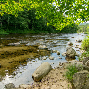 Zealand Campground and Picnic Area