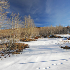 Jackman Park Campground