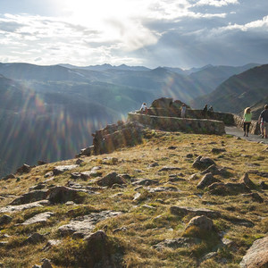 Forest Canyon Overlook