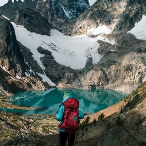 Inherently Wild: The Power of Female Mentors