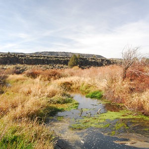 Page Springs Campground