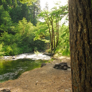 Ripplebrook Campground