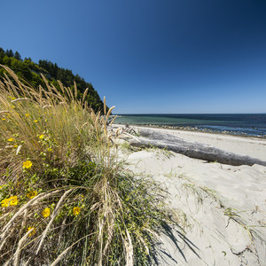 Fort Worden State Park Beach Campground + Upper Forest Campground
