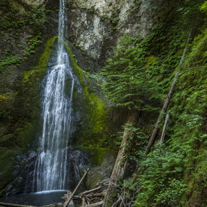 Marymere Falls Hike