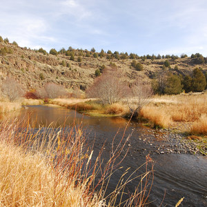 Donner und Blitzen River Trail Hike