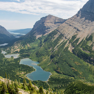 Swiftcurrent Pass Trail