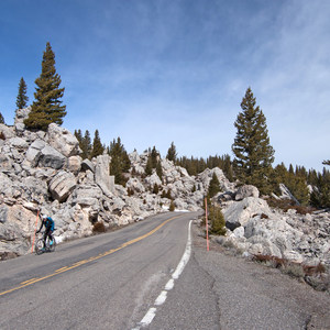 Grand Loop + West Yellowstone Tour