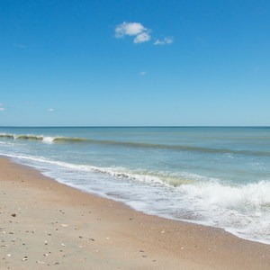Edisto Beach