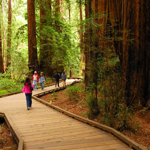 Muir Woods National Monument