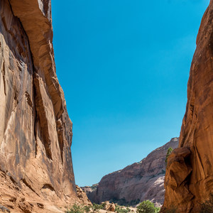 Fins N Things Canyoneering