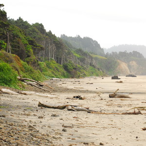 Arcadia Beach State Recreation Site