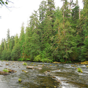 Riverford Campground