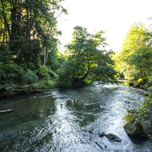Lyre River Campground
