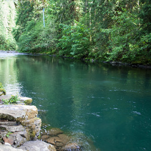 Day Use Site 2: Molalla River Swimming