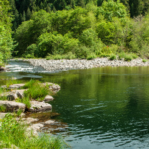 Day Use Site 4: Molalla River Swimming