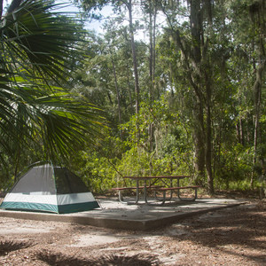 Skidaway Island State Park Campground