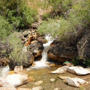 Gold Bug Hot Springs