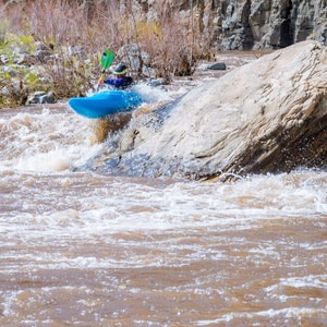 Salt River: Daily Section