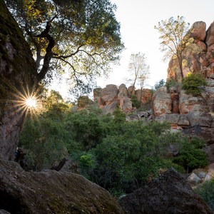 Moses Spring Trail