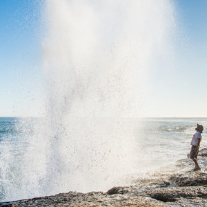Geoffroy Drive Wildlife Viewing
