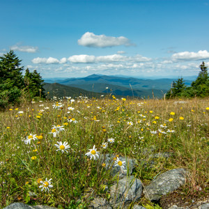 Mount Ellen via the Long Trail