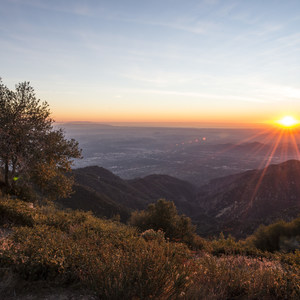 Mount Wilson Skyline Park + Viewpoint