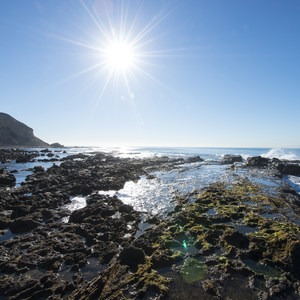 White Point - Royal Palms Beach Park
