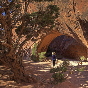 Navajo Arch