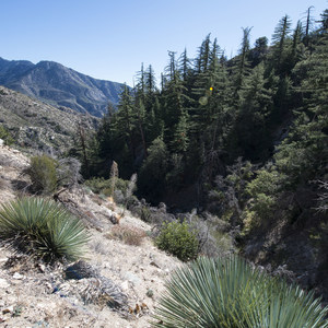 Devils Canyon Trail Hike