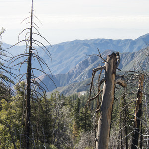Windy Gap Trail Hike
