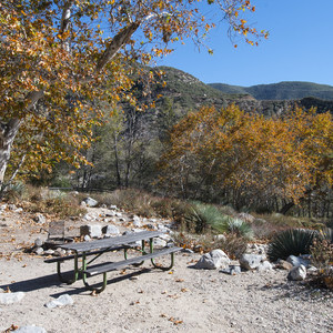 Coldbrook Campground