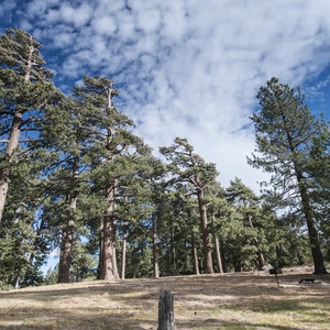 Table Mountain Campground