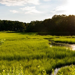 Waquoit Bay National Estuarine Research Reserve