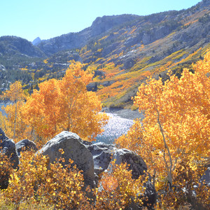 Lake Sabrina Inlet Hiking Trail