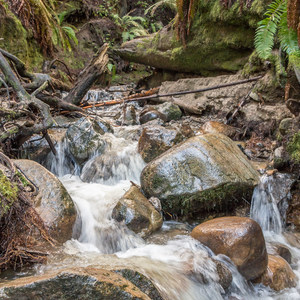 Eagle Creek Trail Hike