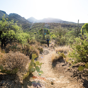 Bear Canyon to Seven Falls Trail