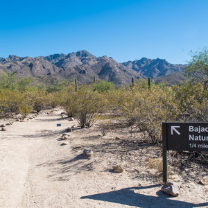 Bajada Nature Trail