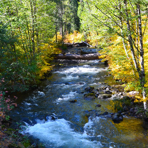 Whispering Falls Campground