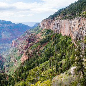 North Kaibab Trail to Roaring Springs