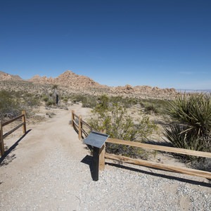 Indian Cove Nature Trail