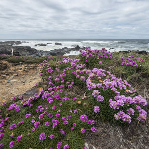 Smelt Sands State Park