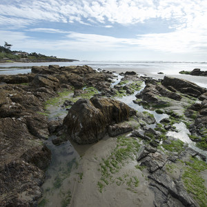 Yachats Ocean Road State Natural Site