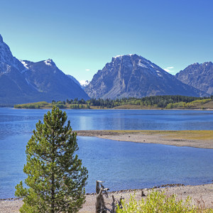 Hermitage Point Loop