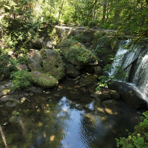 Whatcom Falls Park