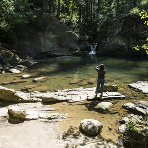 Whatcom Falls + Whirlpool Falls