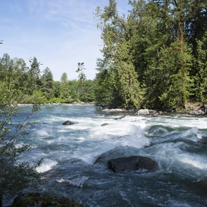 Tamihi Creek East Recreation Site Campground