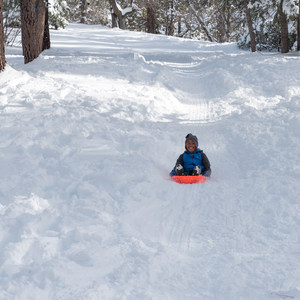 Aspen Glen Picnic Area Sledding